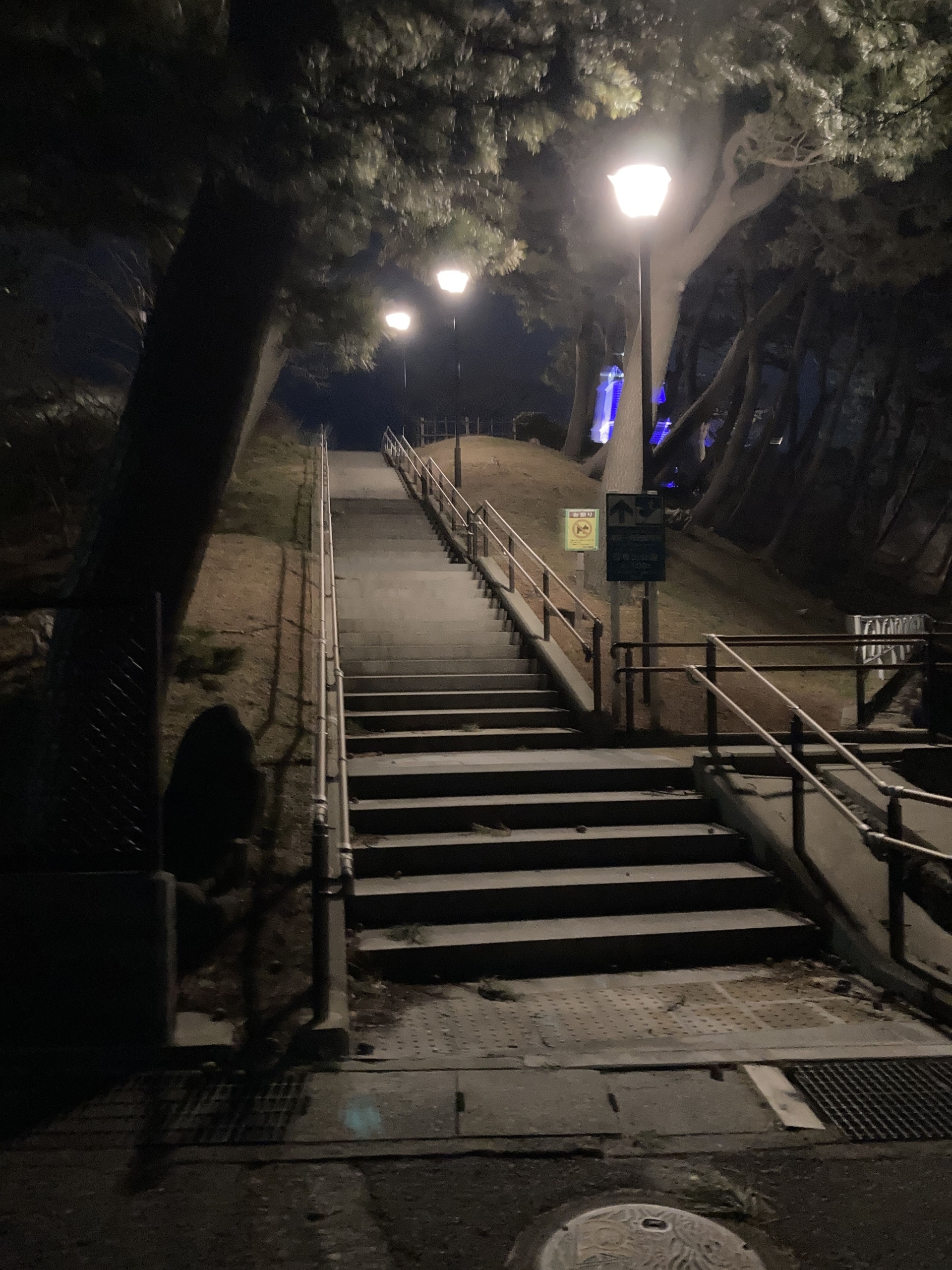 酒田日和山木造六角灯台周辺階段