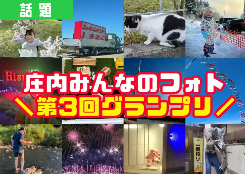 ショーナイツウに寄せられた写真の一覧を紹介しているサムネイル