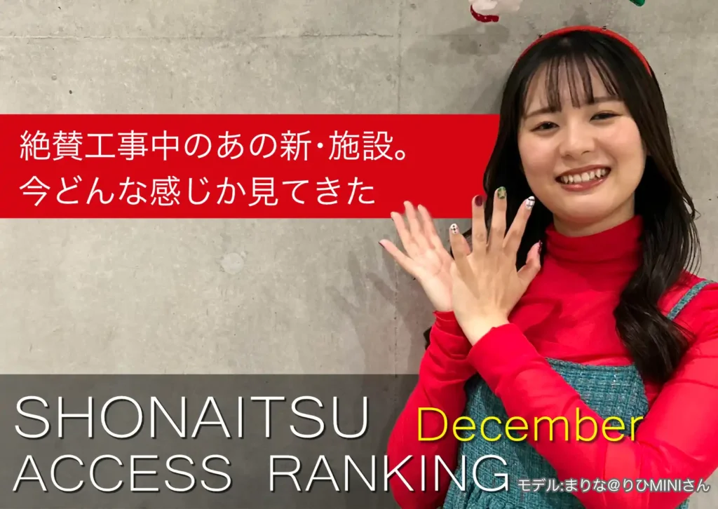 ショーナイツウの2025年12月のアクセス報告するサムネイル。クリスマスカラーの洋服を着た女性がポーズをとっている