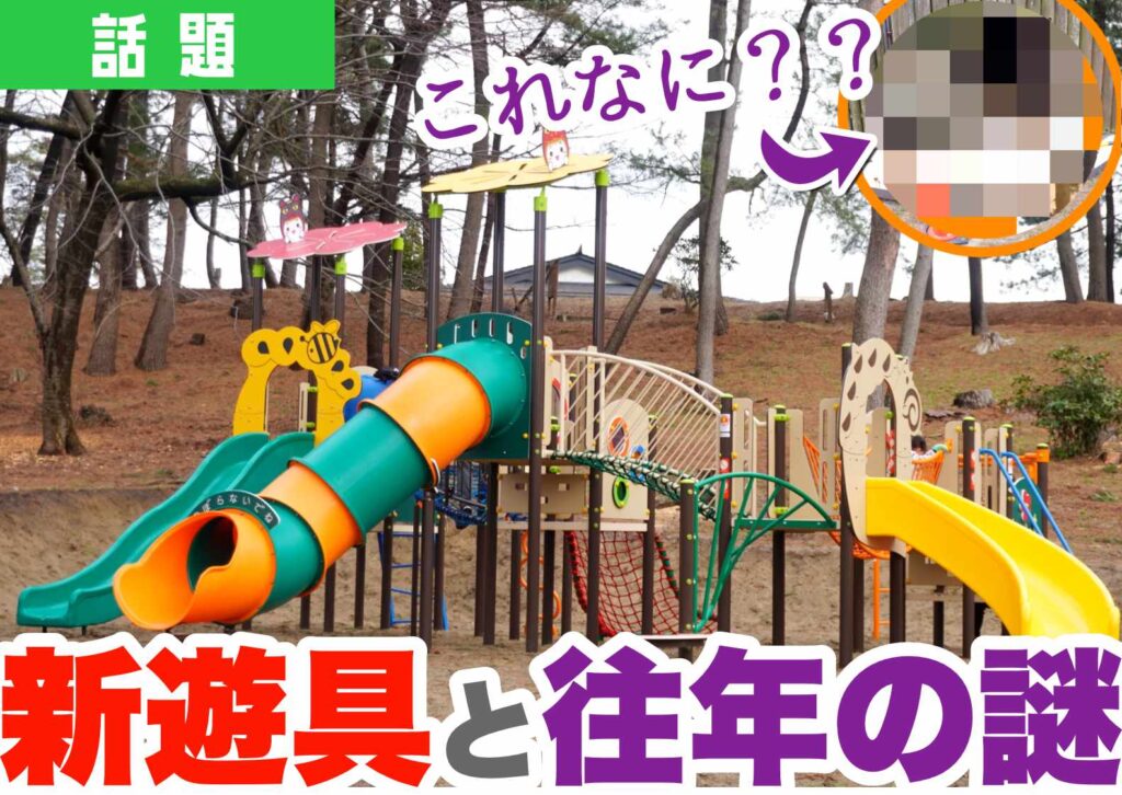 光が丘公園の新しい遊具の外観
