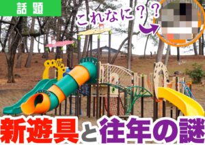 光が丘公園の新しい遊具の外観