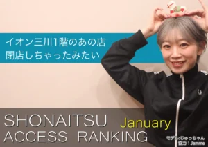 ショーナイツウの2026年1月のアクセス報告するサムネイル。黒い洋服を着た女性がポーズをとっている