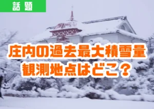 鶴岡市大宝館に雪が積もっている様子