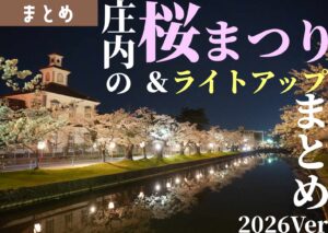 鶴岡公園の桜が満開の様子