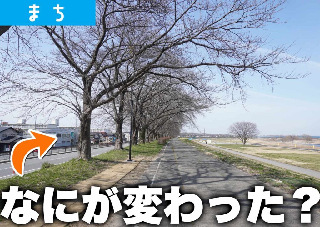 鶴岡市赤川河川敷の工事後の様子