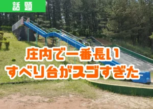 酒田市緑が丘公園の滑り台