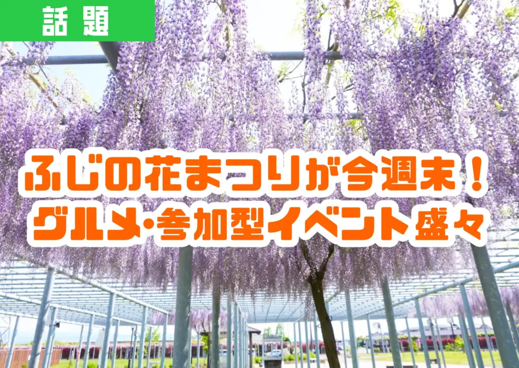 鶴岡市藤島の「ふじの花まつり」の様子