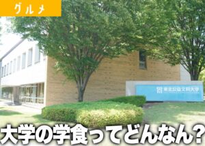 東北公益文科大学の外観