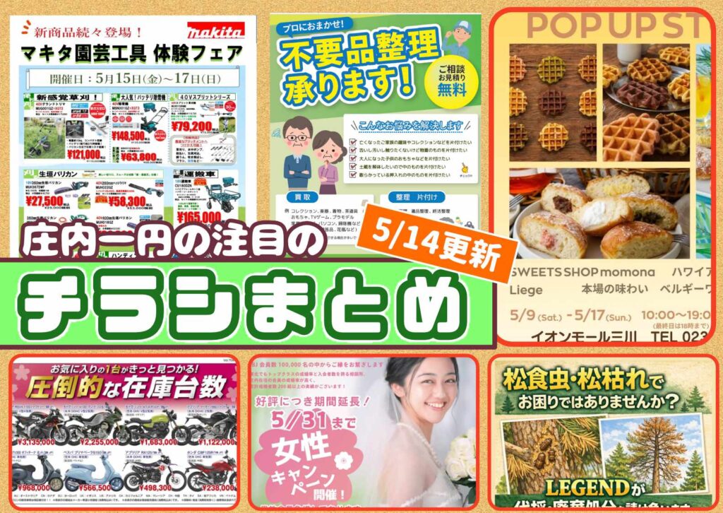 庄内エリアの今週の注目チラシをまとめたショーナイツウ記事のサムネイル画像。