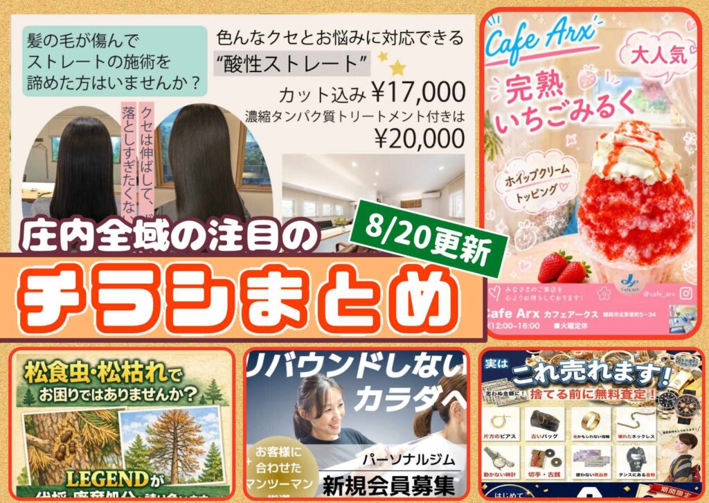 庄内エリアの今週の注目チラシをまとめたショーナイツウ記事のサムネイル画像