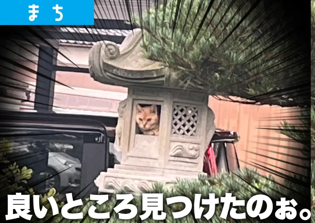 灯籠から顔を出す野良猫